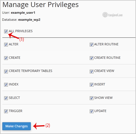 user privileges