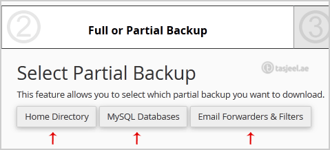 How to Download Backup of Home Directory, MySQL or E-mail Only? 2