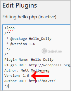 How to Forcefully Update a Plugin in WordPress? 3