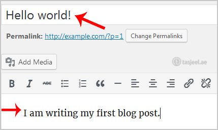 How to start writing your first blog post in WordPress? 2